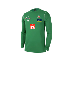 Nike Park 20 Sweatshirt Kids Grün Weiss F302