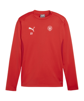 PUMA teamGOAL Training Sweatshirt Rot F01