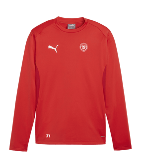 PUMA teamGOAL Training Sweatshirt Rot F01