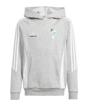 adidas Tiro 24 Hoody Kids Grau Weiss