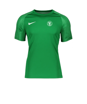 Nike Academy Trikot Grün Weiss F302