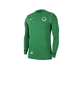 Nike Park 20 Sweatshirt Kids Grün Weiss F302