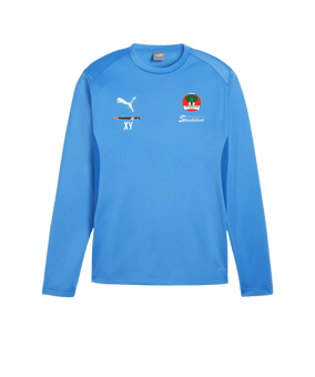 PUMA teamGOAL Training Sweatshirt Blau F02