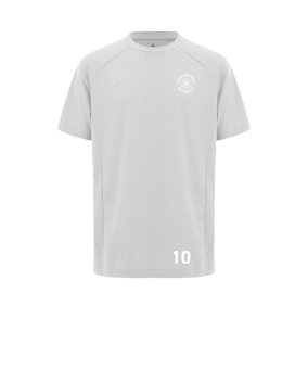 adidas Tiro 25 Travel Trainingsshirt Grau