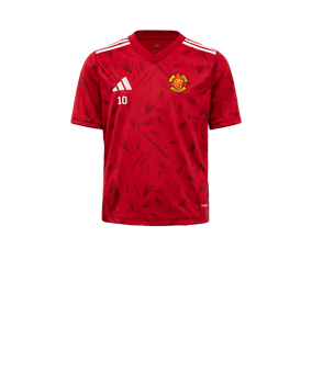 adidas Team Icon 25 Maillot Enfants Rouge 