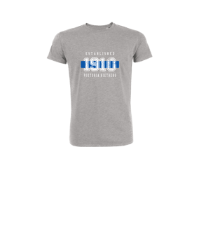 Merch Mini Creator 2.0 T-Shirt Kids Heather Grey | #established