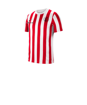 Nike Division IV Striped Trikot kurzarm Kids F104