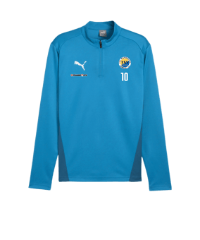 PUMA teamGOAL Training 1/4 Zip Sweatshirt Blau F02