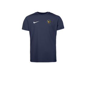 Nike Park VIII Trikot Kids Blau F410