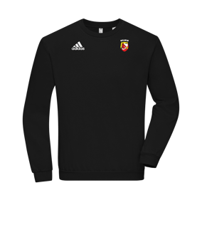 Sweatshirt adidas Entrada 22 Noir 