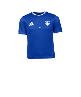 adidas Entrada 26 Maillot Enfants Bleu 