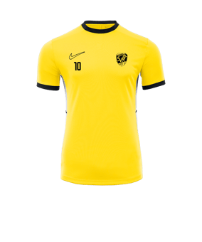 Nike Academy 25 Trainingsshirt Gelb F719