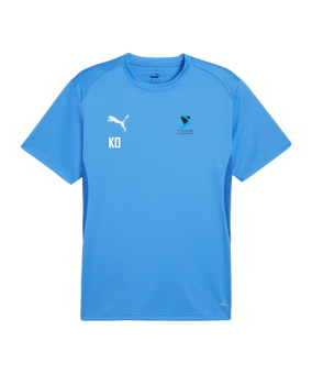 PUMA teamGOAL Trikot Blau F02