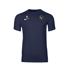 Nike Park VIII Trikot Blau F410