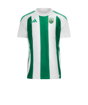 adidas Striped 24 Trikot Weiss Grün