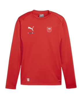 PUMA teamGOAL Training Sweatshirt Rot F01