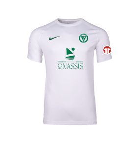 Nike Park VIII Trikot Weiß F102