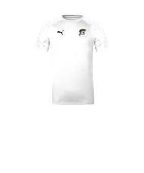 PUMA teamLIGA26 Trikot Kids Weiß F04