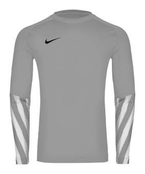 Nike Park V Trikot langarm Grau F097 - grau