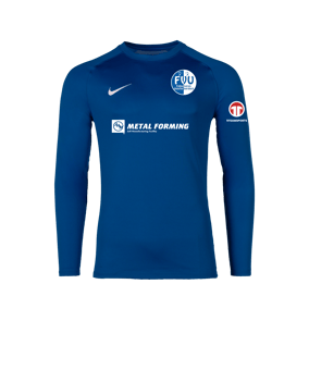 Nike Park VIII Trikot langarm Blau F463