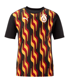 PUMA Galatasaray Istanbul Training T-Shirt Schwarz F010 - schwarz
