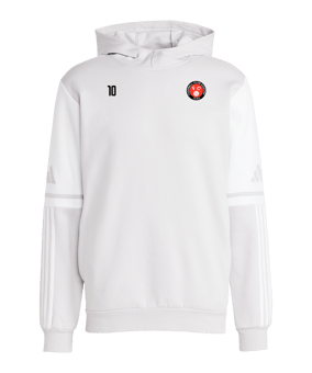 adidas Squadra 25 Hoody Grau