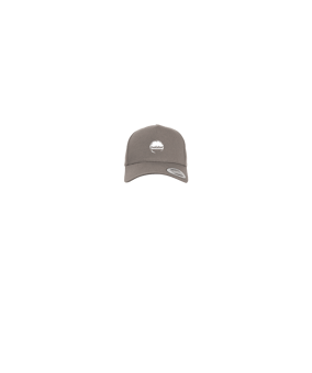 Merch 5 Panel Curved Snapback Cap Grey