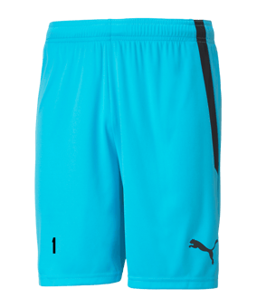 PUMA teamLIGA Short Blau Schwarz F40