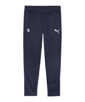 PUMA teamGOAL Training Jogginghose Blau F06