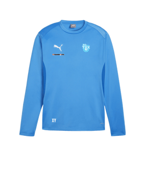 PUMA teamGOAL Training Sweatshirt Blau F02