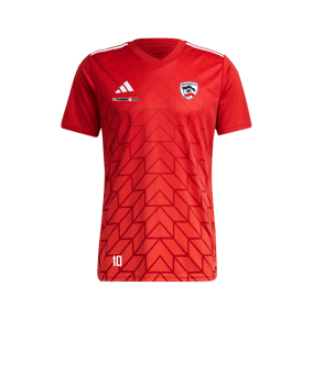 adidas Team Icon 23 Trikot Rot