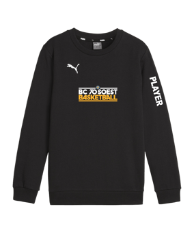 PUMA teamGOAL Casuals Sweatshirt Kids Schwarz F03