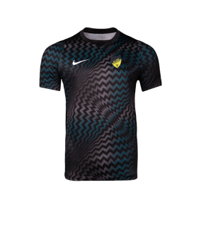 Nike Gardien VI Torwarttrikot Schwarz F010
