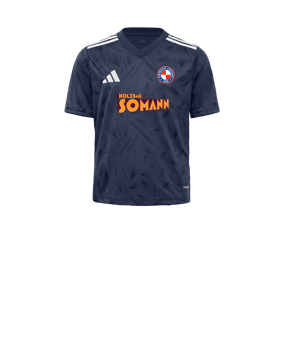 adidas Team Icon 25 Trikot Kids Blau