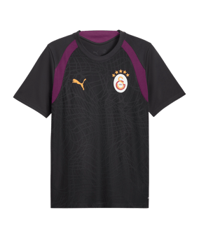 PUMA Galatasaray Istanbul Training Maillot Gris C05 - gris