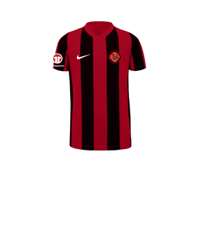 Nike Division V Striped Trikot Kids Rot F657