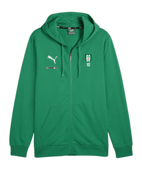 PUMA teamGOAL Casuals Kapuzenjacke Grün F05