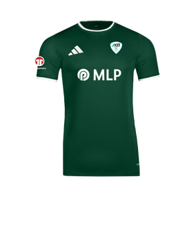 adidas Entrada 26 Trikot Grün