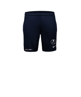 Nike Park 26 Short Blau F410