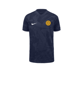 Nike Precision VII Trikot Kids Blau F410