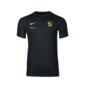 Nike Park VIII Trikot Schwarz F010