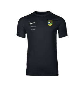 Nike Park VIII Trikot Schwarz F010