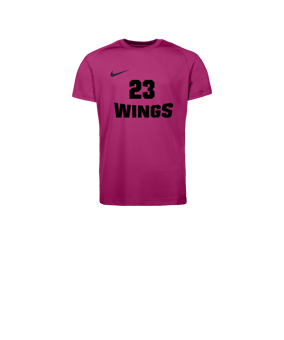 Nike Park VIII Trikot Kids Rosa F616