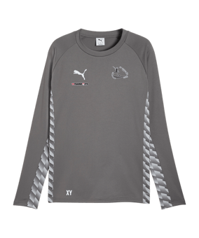 PUMA teamLIGA26 Training Sweatshirt Grau F13