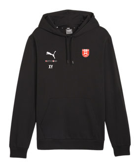 PUMA teamGOAL Casuals Hoody Schwarz F03
