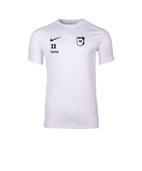 Nike Park VIII Trikot Weiß F100