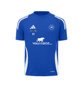 adidas Tiro 24 Trikot Blau Weiss
