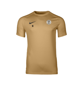 Nike Park VIII Maillot Gold C729