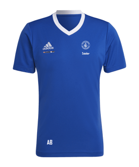 SV Veldhausen Trainingsshirt 