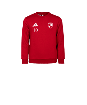 adidas Entrada 26 Sweatshirt Kids Rot